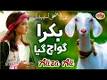 Download Lagu Aliza  Ali || Mera Bakra Guwach Gaya  || Bakra Eid Nasheed 2021 | Beautiful Video |