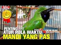 Lagu WAJIB TAU‼PENTINGNYA ATUR POLA WAKTU MANDI YANG PAS BIAR CUCAK IJO JAMTROK