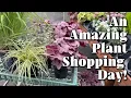 Download Lagu Visiting Three Garden Centers and Shopping for Lots of Beautiful Plants!