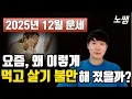 2025년 12월 무자월 운세 - 지금 불안한 건 이유가 있습니다.