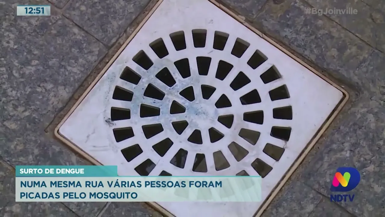 Surto de dengue: numa mesma rua várias pessoas foram picadas pelo mosquito
