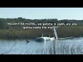 Airplane crashes into marsh near St Augustine airport