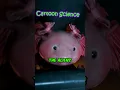 Download Lagu Space Axolotl in Lilo \u0026 Stitch