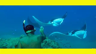 Solo Sailing, Swimming with Manta Rays – Sailing Papua – Learning By Doing Ep76