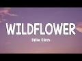 Download Lagu Billie Eilish - WILDFLOWER (Lyrics)