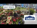 Lowes Garden Center Inventory Clearance Proven Winners Hibiscus and Limelight Hydrangeas July 2023