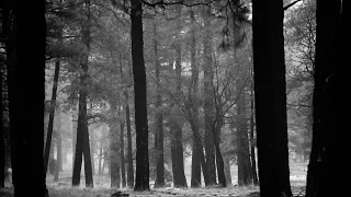 Stuck in the Mud – Baja or Bust 43