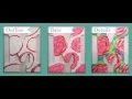 Cute sorority craft ideas