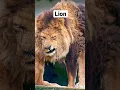 Down syndrome animals part 2 Make sure to check my channel