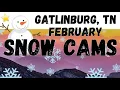 Live Cams Snow Gatlinburg Pigeon Forge Tennessee