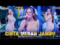 Download Lagu CINTA MERAH JAMBU-cinta lahir batin-YUNEL OM NIRWANA 