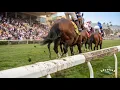 Del Mar Consensus Picks July 30 Trackside Edge Handicapper Board