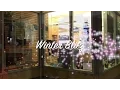 Winter Blitz at UC Merced