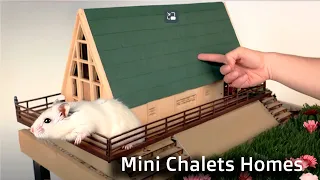 Building A House In 10 Steps A Practical And Easy To Follow Guidel 