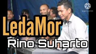 Download LEDAMOR _ RINO SUHARTO _ LAGU TIMOR @rinosuharto MP3