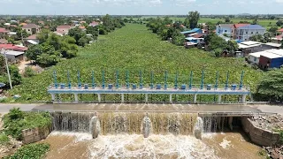 Giant River Restoration Project | Clearing Floating Plant Blockages