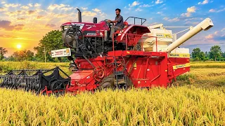 Mahindra harvester working | tractor videos |