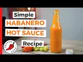Download Lagu Simple Habanero Hot Sauce Recipe (6 Ingredients) - Pepper Geek