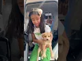 Download Lagu Kya apko bhi dog pasand h🥹🥹 #shorts #amairagurjar
