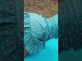 Download Lagu Evelina's yoga outdoors in a dress #yoga #stretching