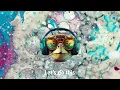 Peak Focus For Complex Tasks House Turtle Mix with Isochronic Tones