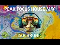 Download Lagu Peak Focus For Complex Tasks House Turtle Mix with Isochronic Tones