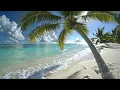 Calming 🌴 Ocean Waves & Nature Sounds for Study & Focus 12H 4K 🌊