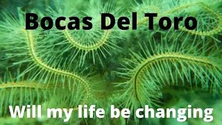 Sailing Gabriel 1 – Episode 7 Bocas Del Toro