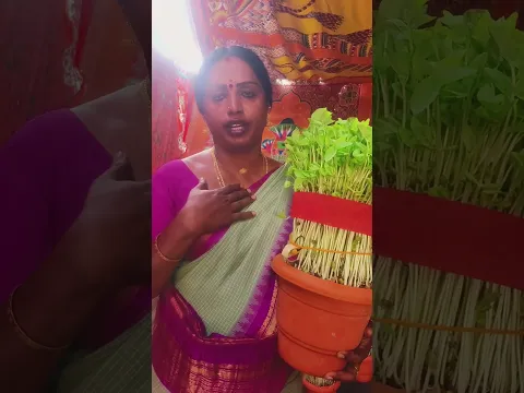இன்றைய முளைப்பாரி பில்லா பாளையம்  7639538282