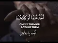 Download Lagu Surah Al Isra V:23 | Whatsapp Status | Part [6]