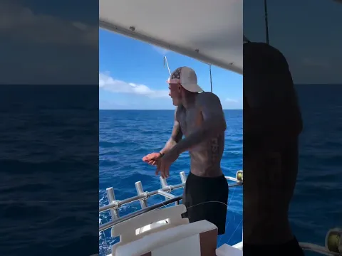 Pegando o peixe