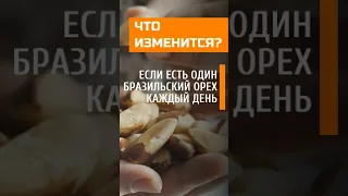 What Difference Does Eating One Brazil Nut Every Day Make Health Healthyfoods Nuts  What Difference Does Eating One Brazil Nut Every Day Make Health Healthyfoods Nuts