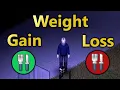 Weight Gain And Loss Explained