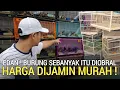 Lagu MAKIN GILA ! BURUNG SEBANYAK ITU DIOBRAL HARGA DIJAMIN MURAH PASAR BURUNG PRAMUKA LEWAT DULU
