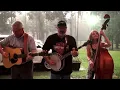 Carolina Tradition - Roustabout