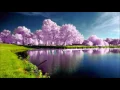 Download Lagu Suratul Maryam Ayat 1-15