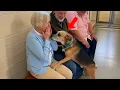 When Dogs Choose Their Forever Humans ❤️ Adoption Moments