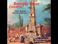 Oboe Concerto in D Minor, S. Z799: I. Andante e spiccato