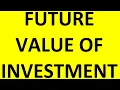 Tecq Mate Java compute future investment value