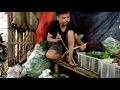 Download Lagu Palapeh sasak