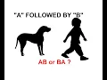 A is followed by B meaning