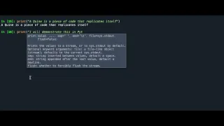 Example of a Quine self-replicating piece of code in Python