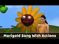 Download Lagu Marigold Flower Song With Actions | Flower Rhymes For Babies | Learn Flowers Kids | Toddlers Songs