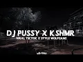 Download Lagu DJ PUSSY X KSHMR STYLE WOLFGANG 🔥🎶