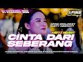 Download Lagu DJ PARTY X MBEROTT CINTA DARI SEBERANG | KU PANDANG PANDANG FULL BASS HOREG APING DISCJOKEY ‼️