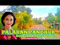Download Lagu PALARAN PANGKUR SUPER JERNIH❗️GAWE ATI AYEM TENTREM❗️KONCO NGASO HARI LIBUR ANDA