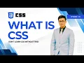 CSS Tutorial for Beginners - Selectors Basic Properties Hindi Urdu EP01