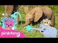 Download Lagu Baby Elephant thump, thump, thump | Baby Animals Songs | Pinkfong for Kids