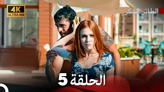 مسلسل حب للايجار الحلقة 5 4K ULTRA HD 