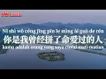 Download Lagu 你是我曾经拼了命爱过的人 Ni shi wo ceng jing pin le ming ai guo de ren - 韓小欠 Han xiao qian